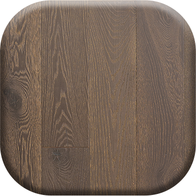 image of the collection